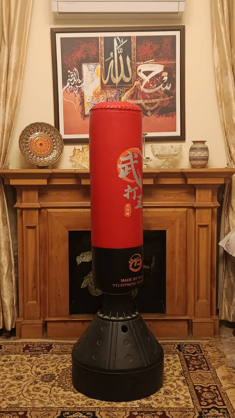 punching bag 1