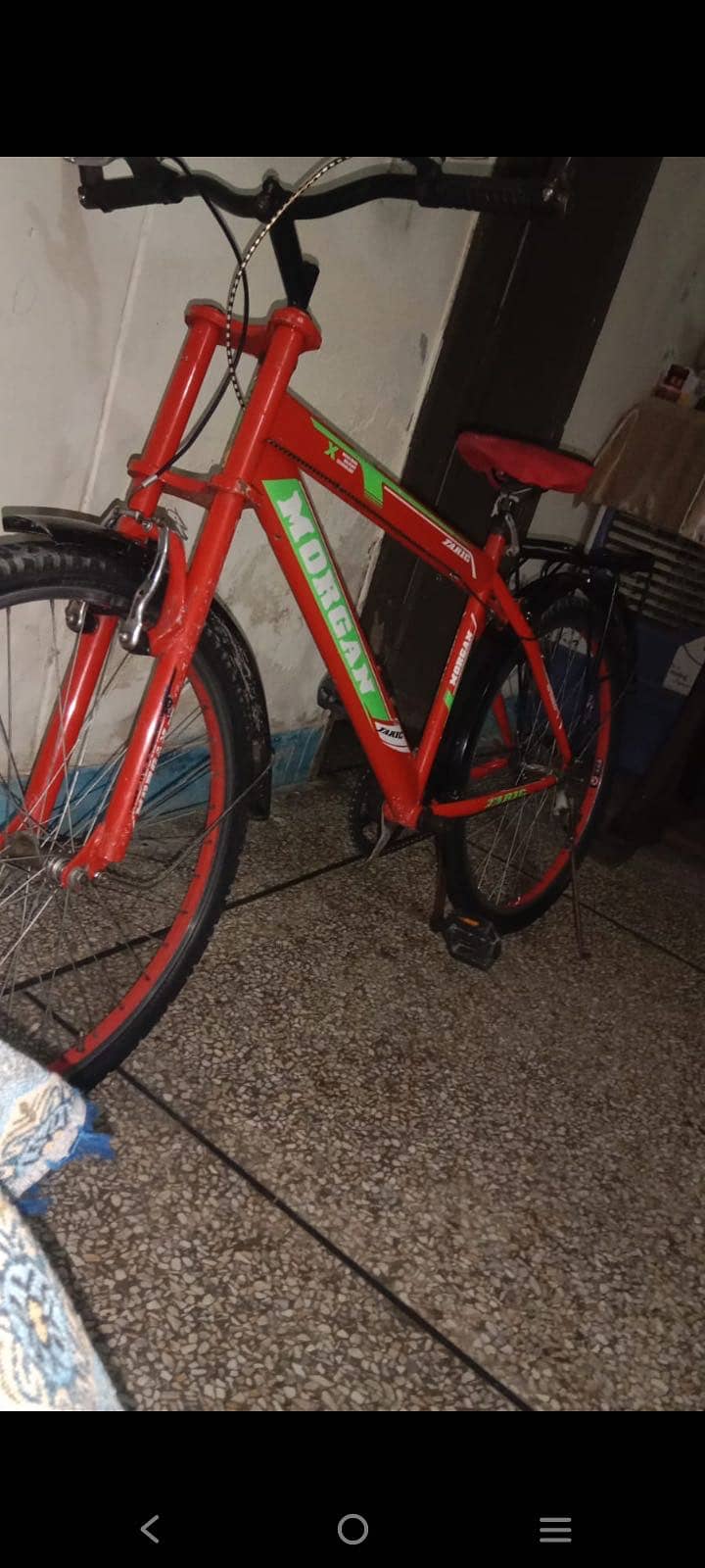 Morgan bicycle 2