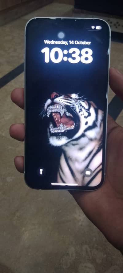 Apple iPhone 13