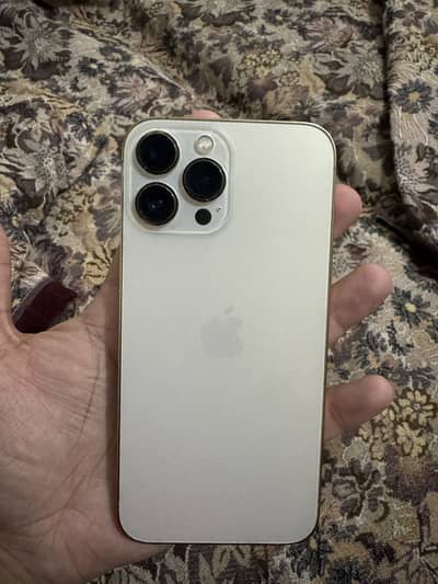 Apple iPhone 13 Pro Max