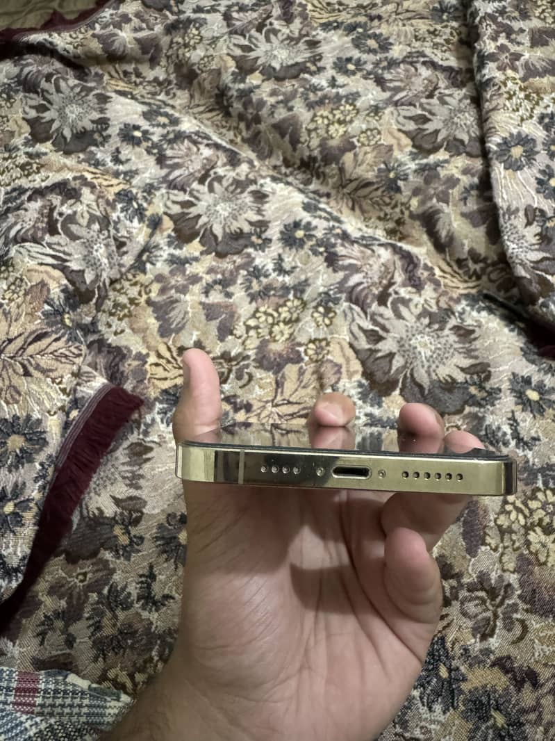 Apple iPhone 13 Pro Max 1