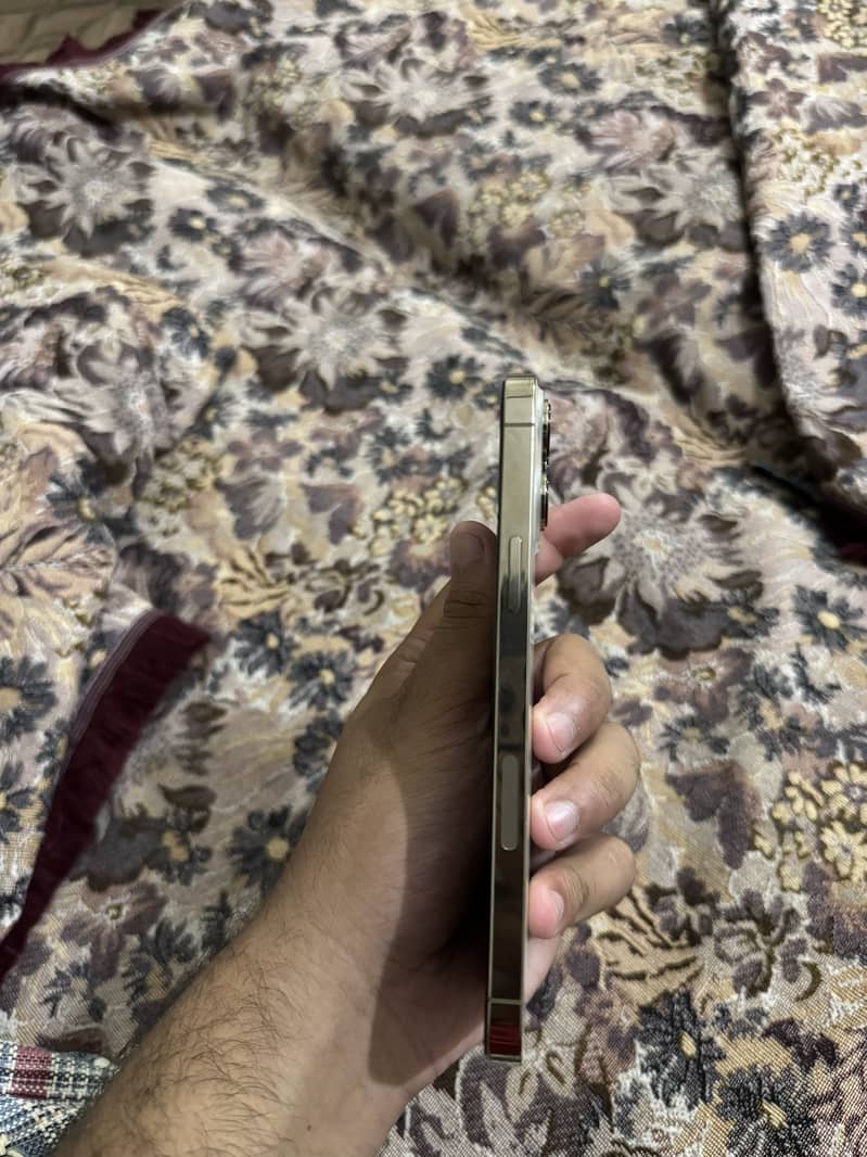 Apple iPhone 13 Pro Max 2