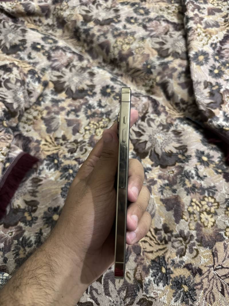 Apple iPhone 13 Pro Max 3