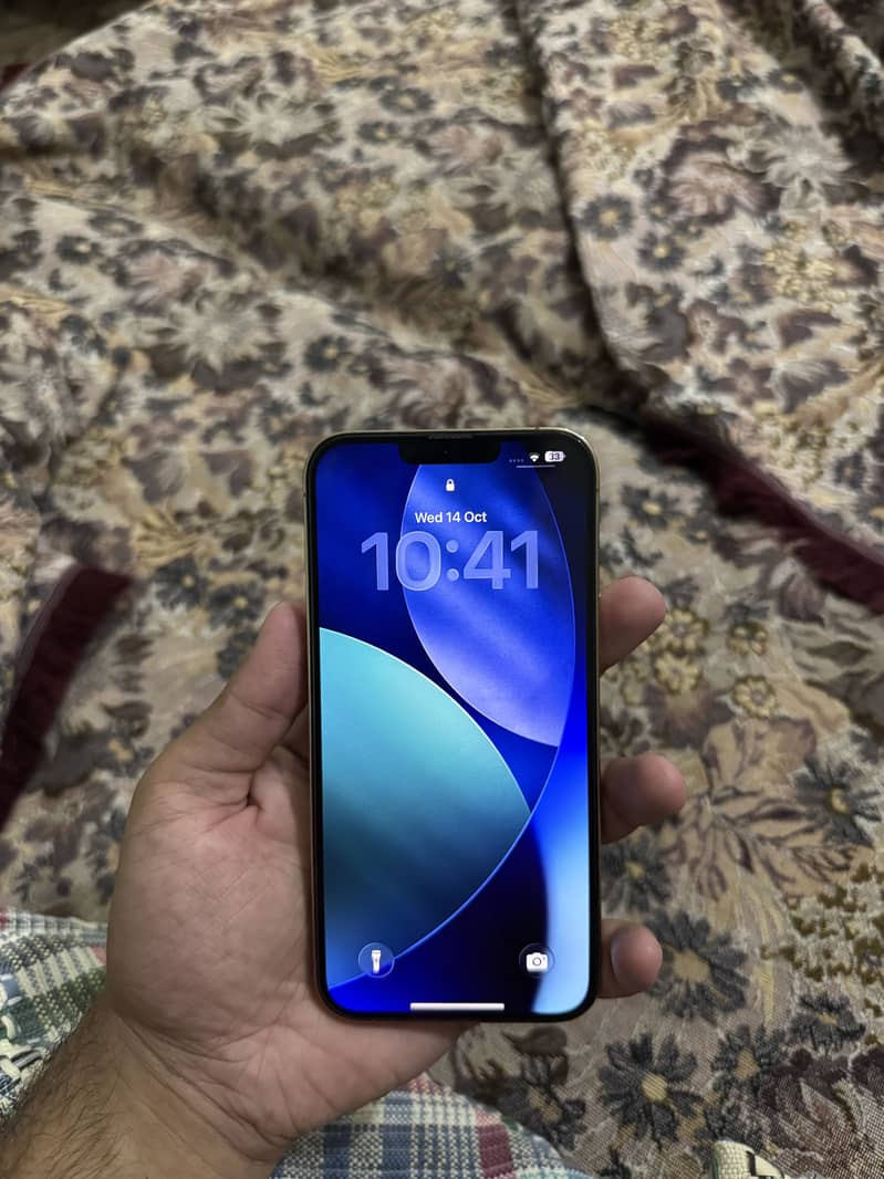 Apple iPhone 13 Pro Max 4