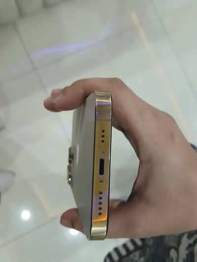 Apple iPhone 13 Pro non pta