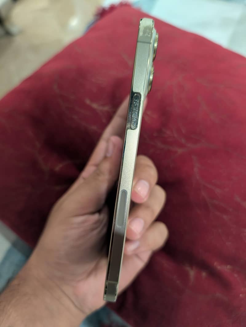 Apple iPhone 13 Pro Max 1