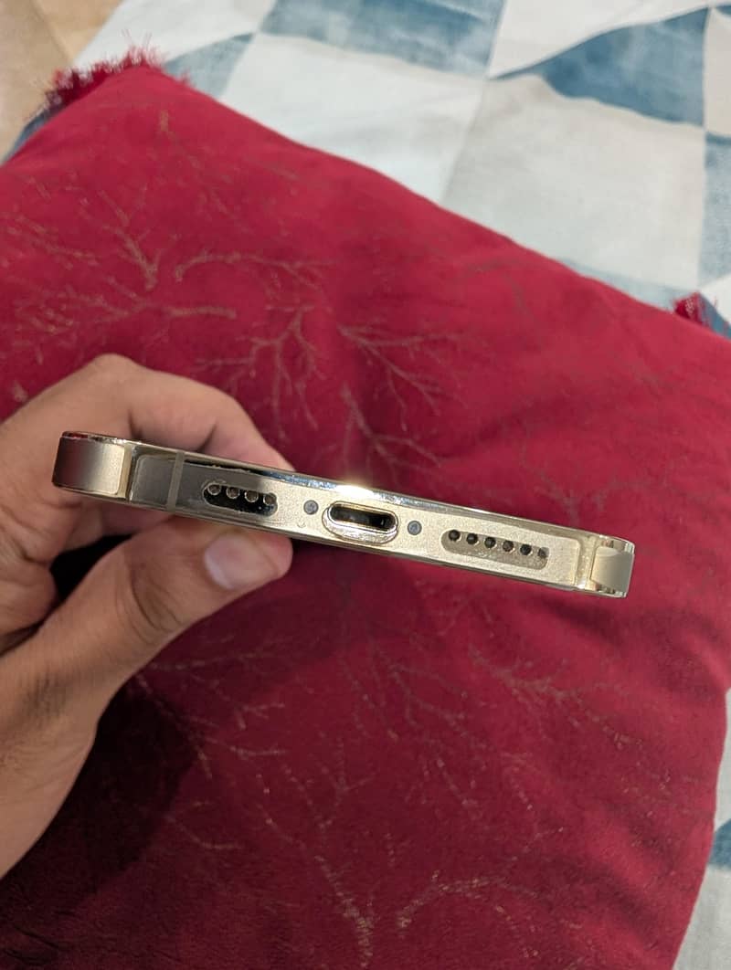 Apple iPhone 13 Pro Max 3