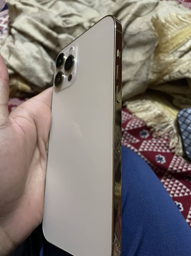 Apple iPhone 12 Pro Max 1