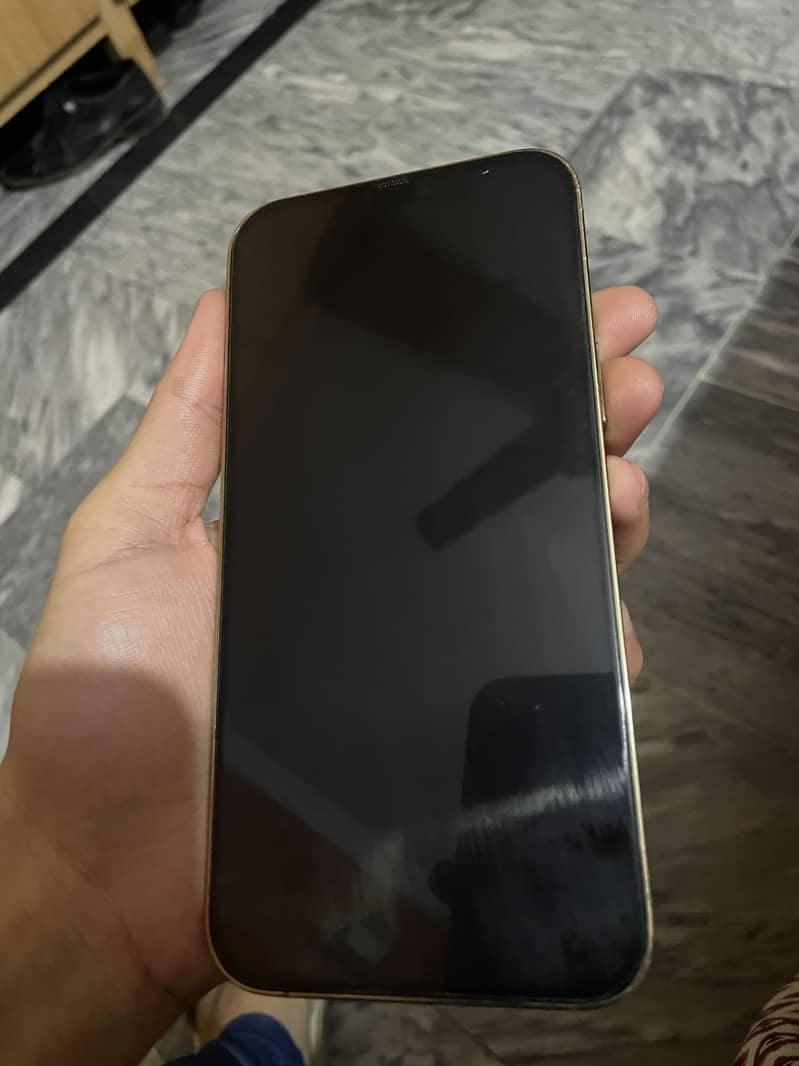 Apple iPhone 12 Pro Max 2