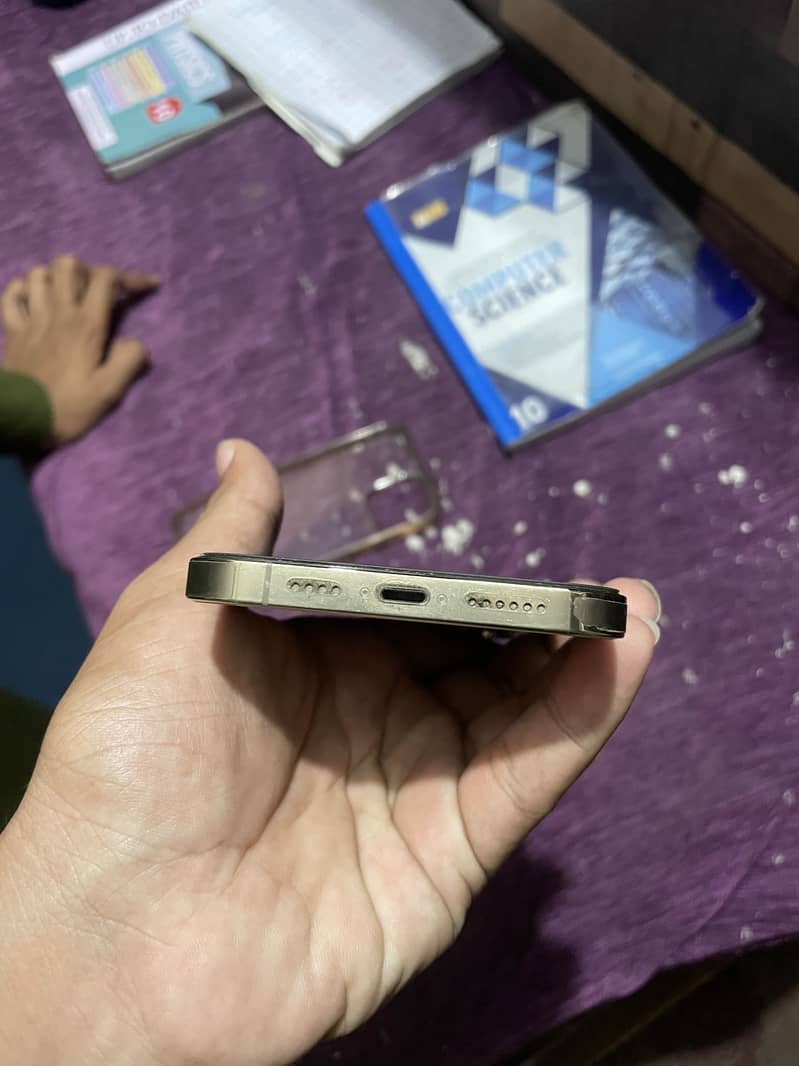 Apple iPhone 13 Pro Max 2