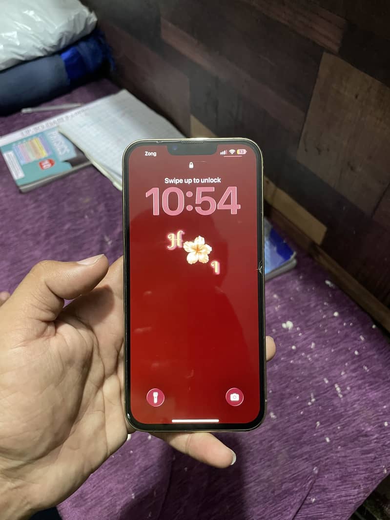 Apple iPhone 13 Pro Max 3