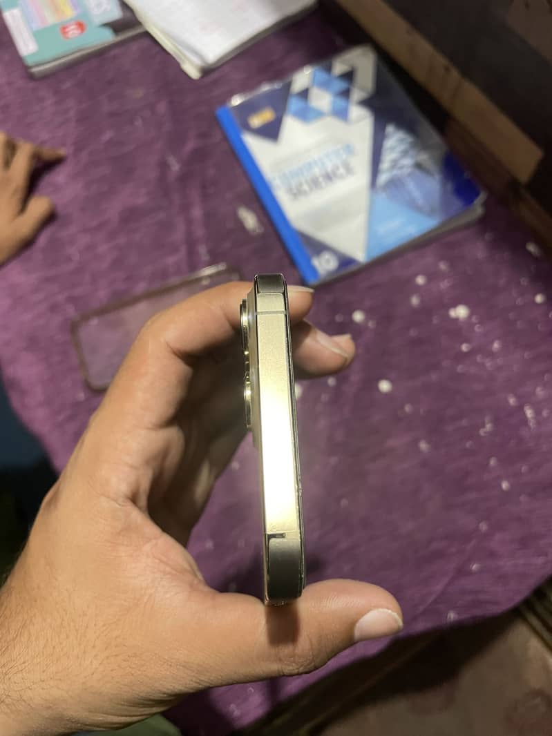 Apple iPhone 13 Pro Max 5