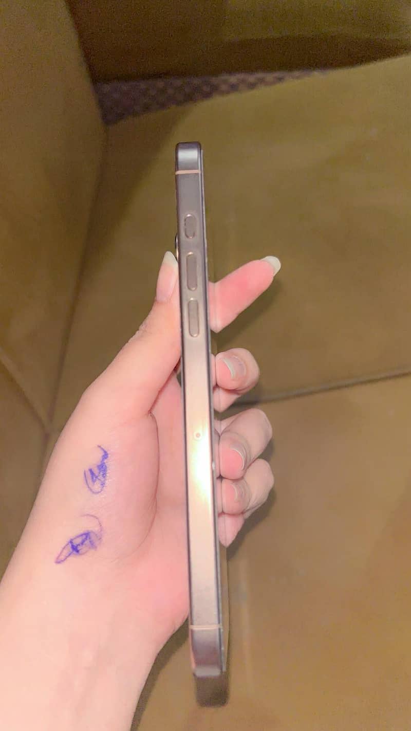 Apple iPhone 16 Pro Max 1