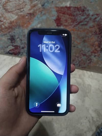 Apple iPhone 12 mini
