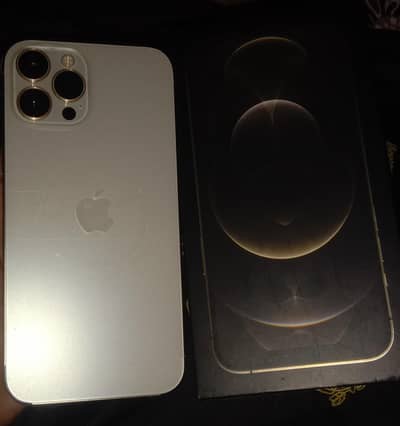 Apple iPhone 12 Pro Max