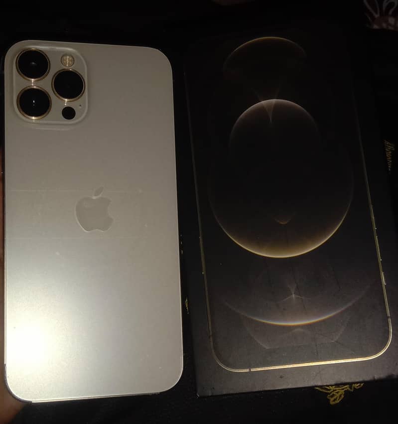 Apple iPhone 12 Pro Max 0
