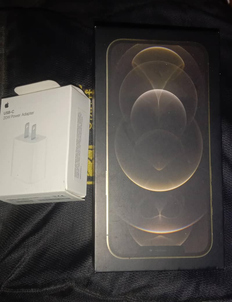 Apple iPhone 12 Pro Max 1