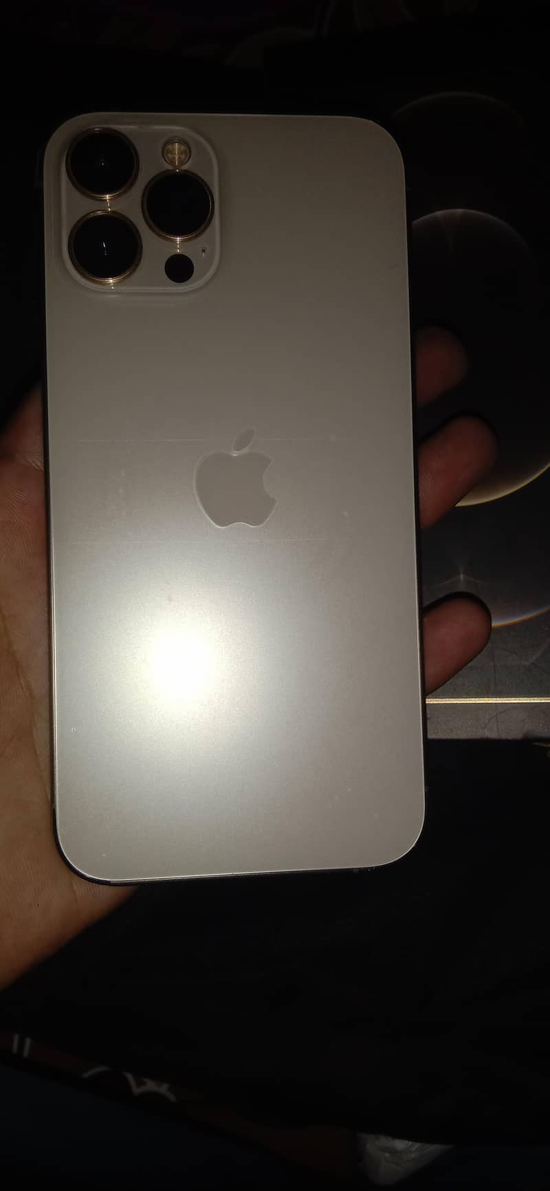 Apple iPhone 12 Pro Max 2