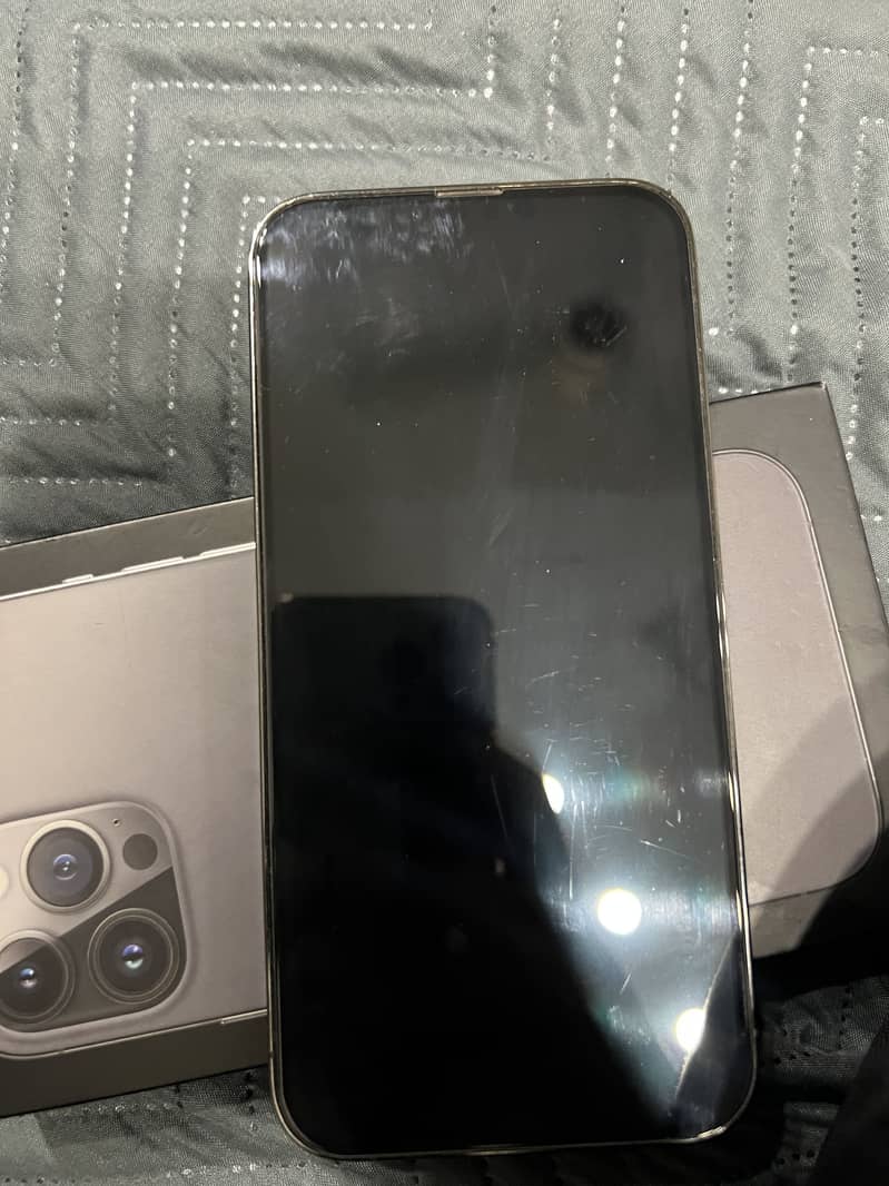 Apple iPhone 13 Pro Max 1