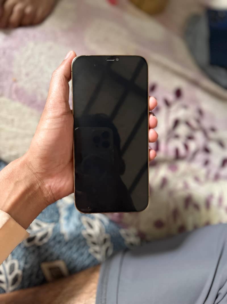 Apple iPhone 12 Pro Max 3
