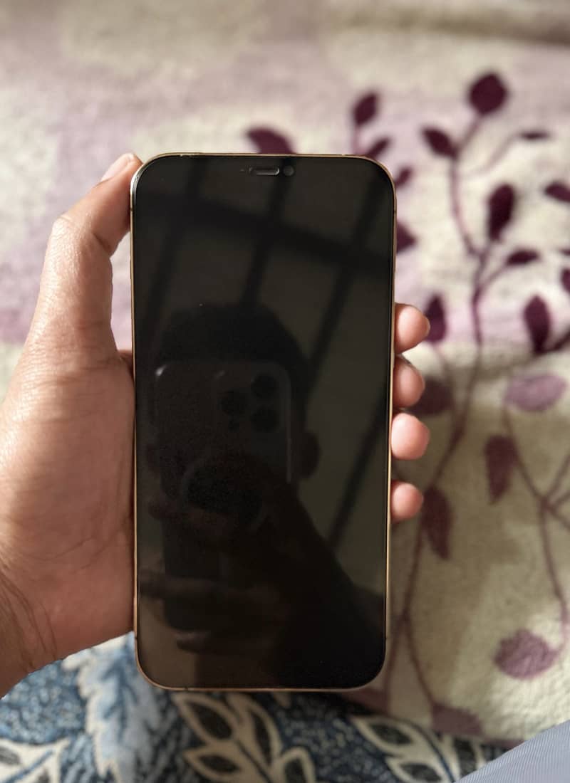 Apple iPhone 12 Pro Max 7
