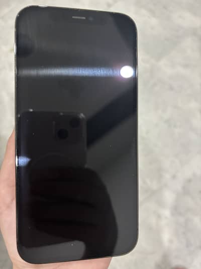 Apple iPhone 12 Pro