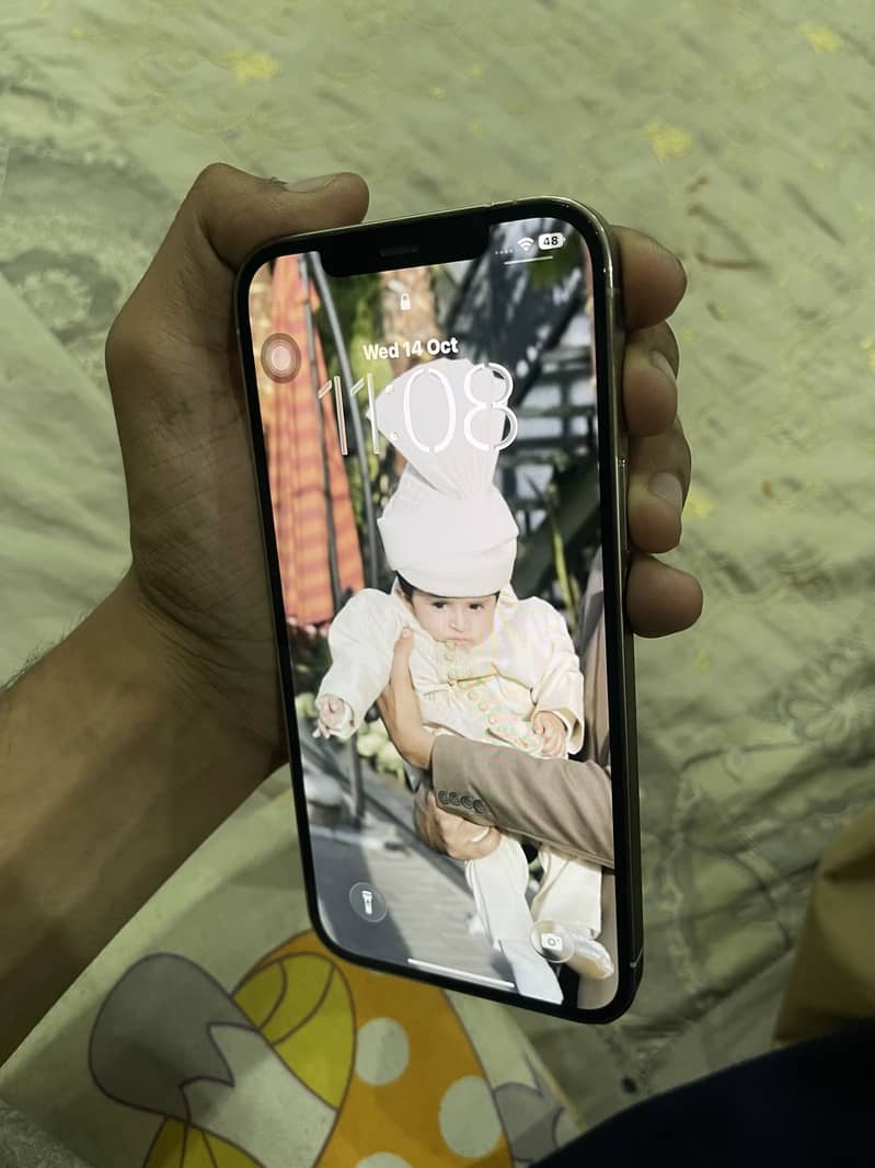 Apple iPhone 12 Pro Max 2