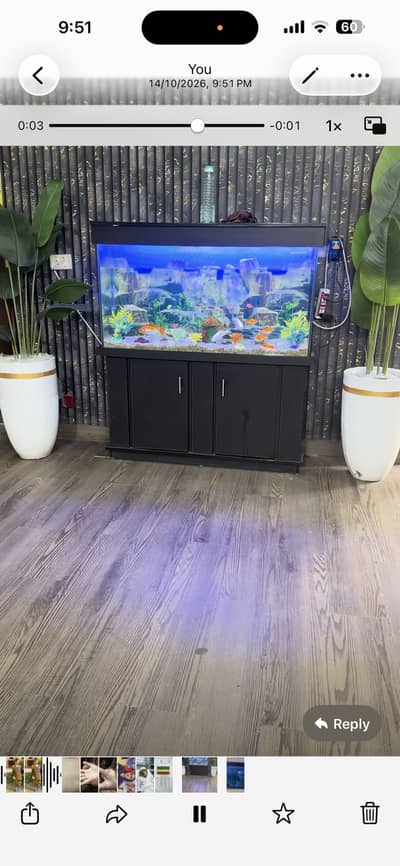 Fish Aquarium Maintenance/Service