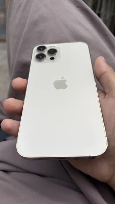 Apple iPhone 12 Pro Max
