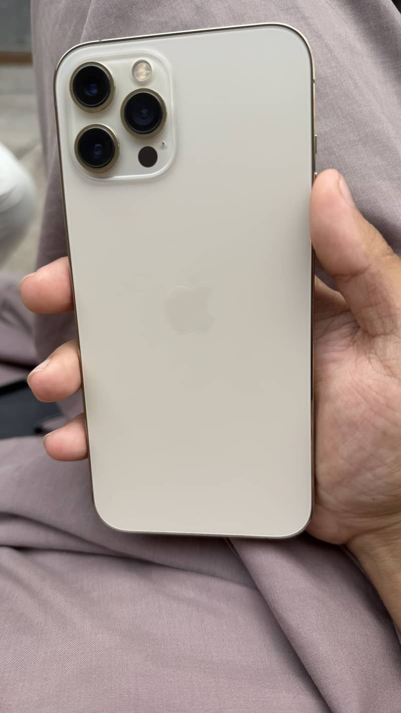 Apple iPhone 12 Pro Max 1