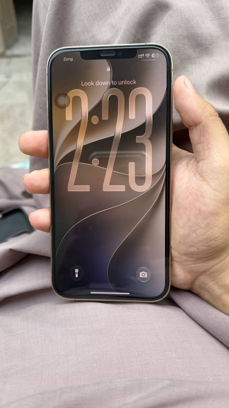 Apple iPhone 12 Pro Max 2