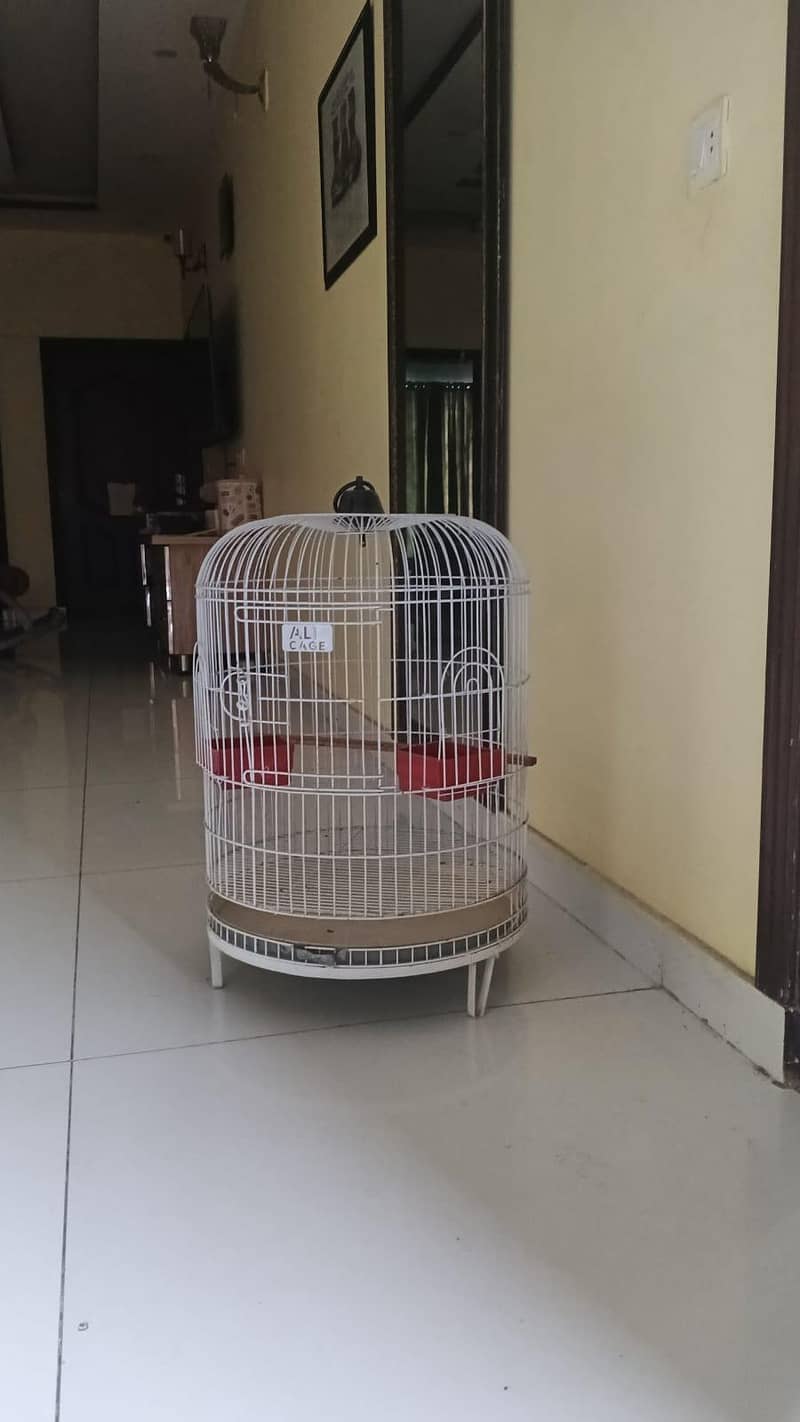 A big cage 0