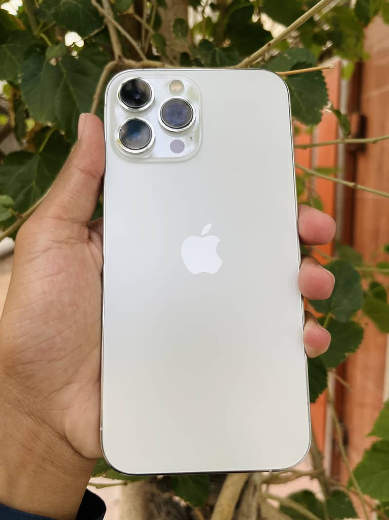 Apple iPhone 13 Pro Max 2