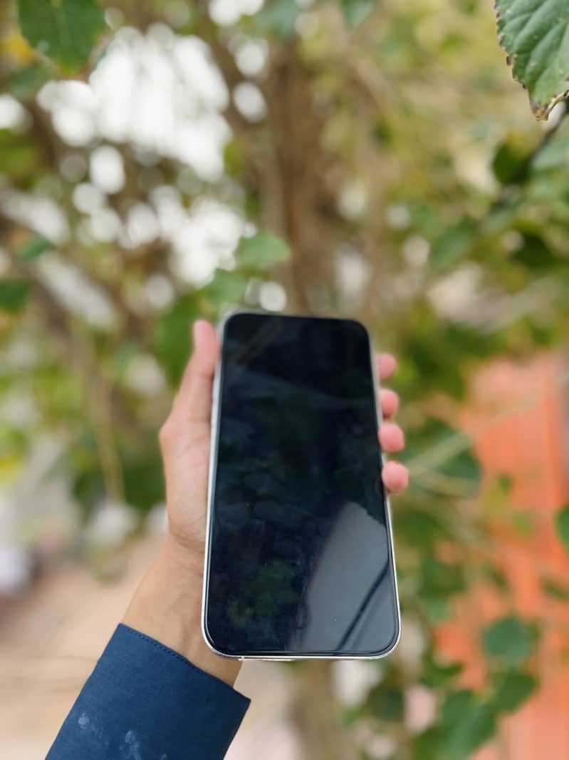 Apple iPhone 13 Pro Max 6