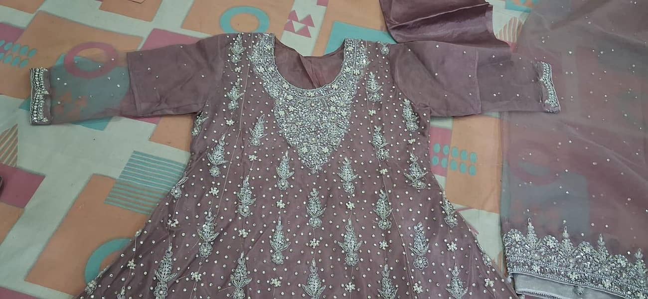valima maxi 1