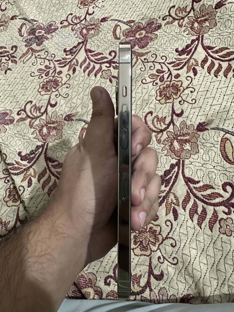 Apple iPhone 12 Pro Max 1