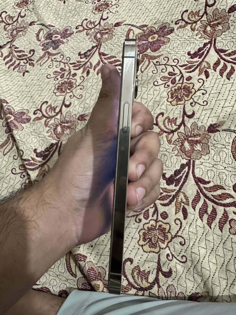 Apple iPhone 12 Pro Max 2