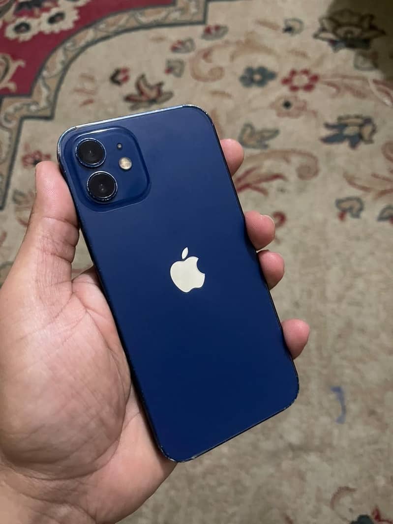 Apple iPhone 12 1