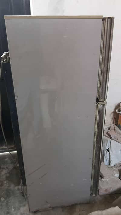 frige