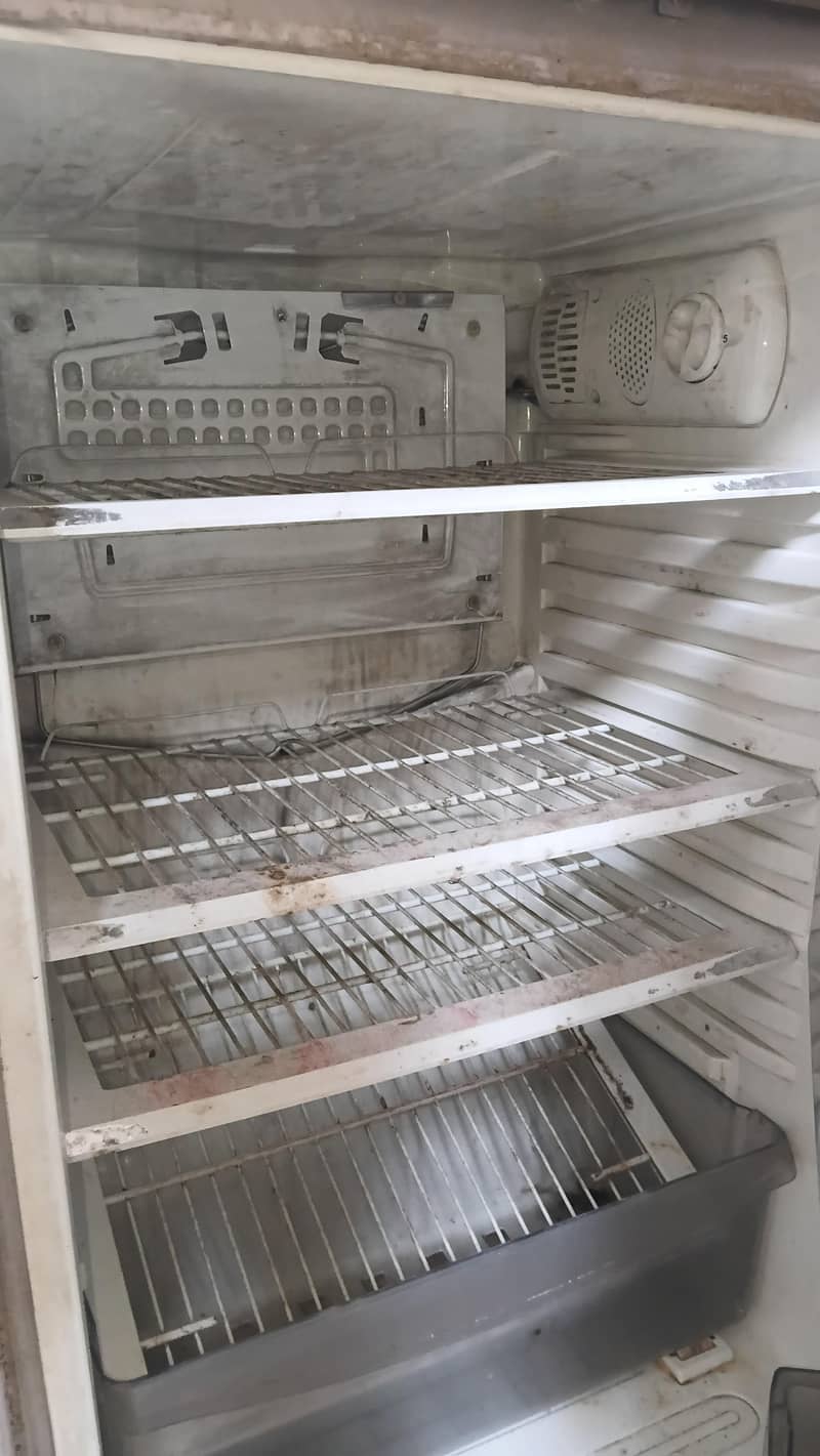 frige 1