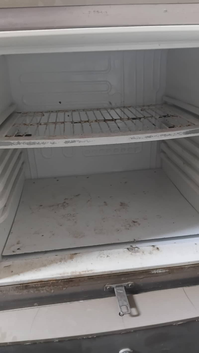 frige 2