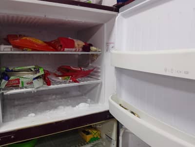 Orient 68750 GD 18 Cubic Feet Refrigerator