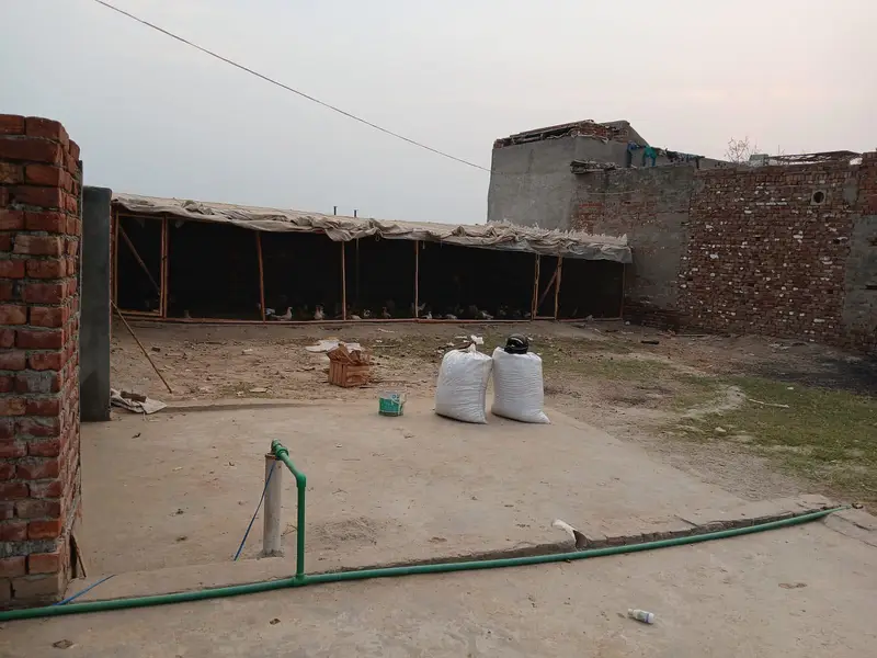 dasi murgi or shed for sale — photo 9