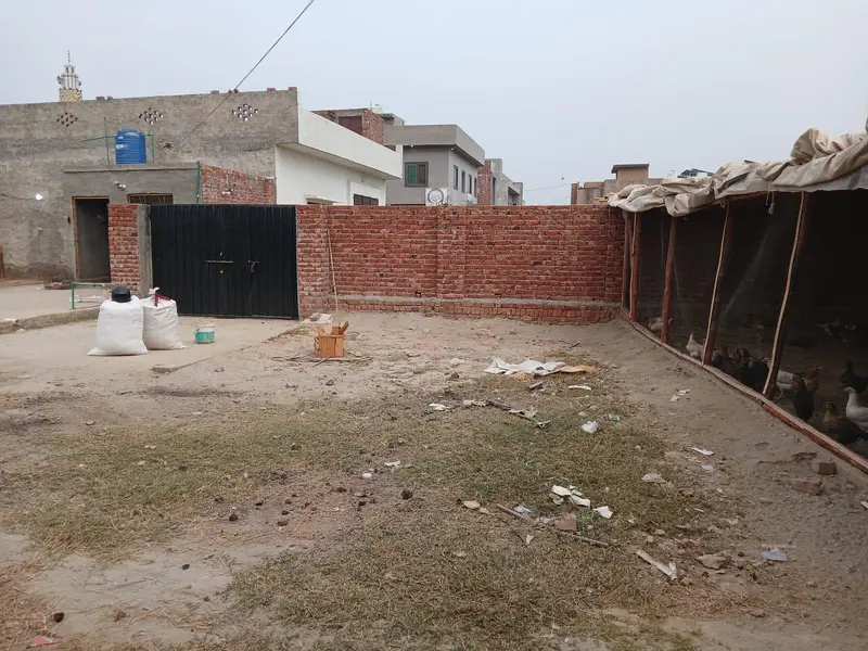 dasi murgi or shed for sale — photo 12