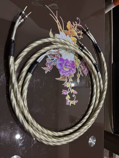 Speaker cables (Audio Quest, QED) bose, klipsch, marantz, denon