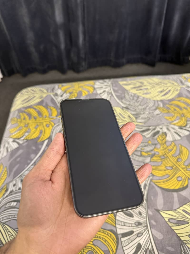 Apple iPhone 13 Pro Max 1