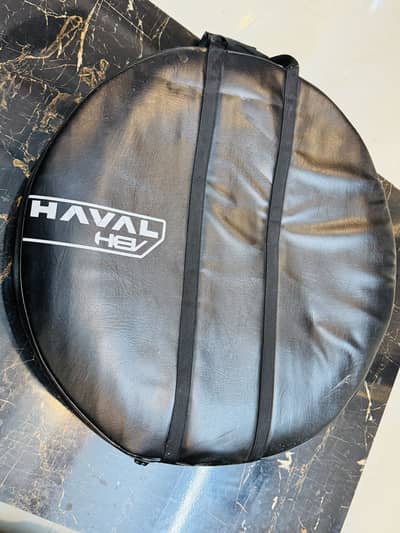 stepney tire of haval H6