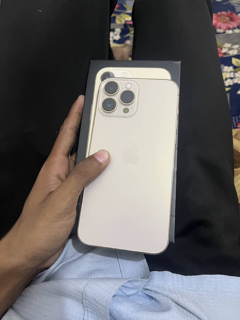 Apple iPhone 13 Pro Max 1