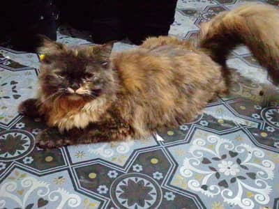 10000