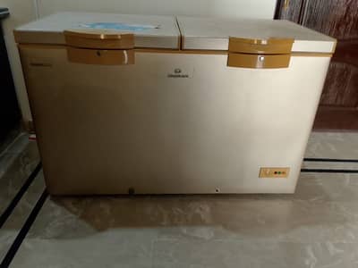 2 door inverter full size freezer